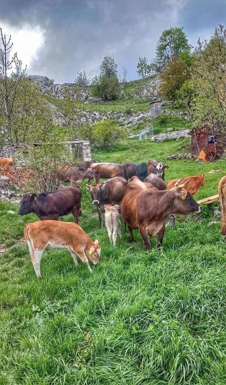 Konak Umoljani Exterior foto